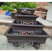 bộ 4 chậu chữ nhật bonsai siêu đẹp