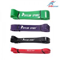 Bộ 4 dây kháng lực tập gym cao cấp Kylin