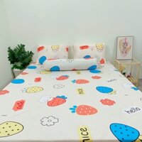 Bộ 4 ga/drap trải giường áo gối THUN LẠNH HÀN QUỐC