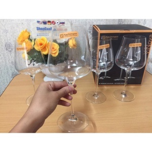 Bộ 4 ly Nachtmann Vinova 98076