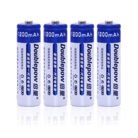Bộ 4 Viên Pin Tiểu Sạc AA Cao Cấp 1200mAh Doublepow - Hàng nhập khẩu