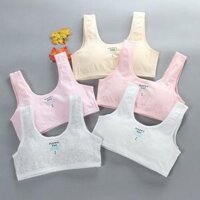 Bộ 5 áo lót học sinh nữ vải cotton dây bản to không đệm mút thoáng mát - ao lot hoc sinh nu day to - 5 màu đệm vải