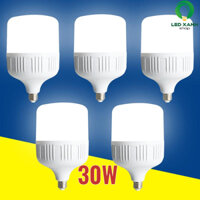 Bộ 5 bóng đèn Led 30W cao cấp tiết kiệm điện - Ánh sáng trắng - Bảo hành 12 tháng