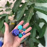 Bộ 5 con ghi đông mẫu probolt cho satria raider fi