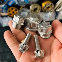 Bộ 5 con ghi đông satria raider fi inox salaya