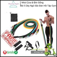 Bộ 5 Dây Ngũ Sắc Đàn Hồi Tập Gym Tại Nhà, Bộ Dụng Cụ Tập Body Hoàn Hảo
