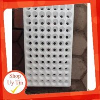 Bộ 5 Khay xốp ươm hạt 84 lỗ. -VNUA