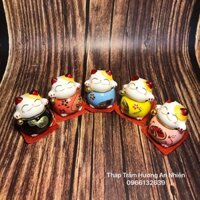 Bộ 5 Mèo Thần Tài may mắn