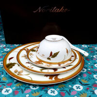 Bộ 5 món Noritake gốm sứ đĩa và chén - Noritake SLAY bone china Plates + bowl Dinner Set ( Set of 5 Pcs)