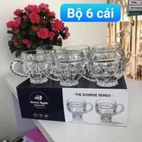 BỘ 6 CÁI LY THỦY TINH CÓ QUAI