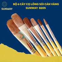 Bộ 6 cây cọ lông sói cán vàng Sunway B205 - Chuyên vẽ màu nước, Acrylic, Sơn
