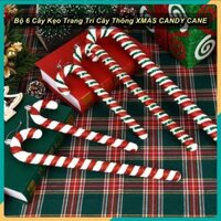 Bộ 6 Cây Kẹo Trang Trí Cây Thông XMAS CANDY CANE ⚜️TTHome⚜️