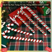 Bộ 6 Cây Kẹo Trang Trí Cây Thông XMAS CANDY CANE 🔰AsiaMart24h🔰