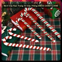 Bộ 6 Cây Kẹo Trang Trí Cây Thông XMAS CANDY CANE