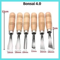 Bộ 6 chiếc đục gỗ- cây cảnh- bonsai - dao điêu khắc gỗ mini lưỡi thép hợp kim cao cấp HM176