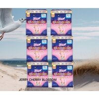 Bộ 6 gói băng vệ sinh dạng quần  Diana 5 chiếc/gói size ML