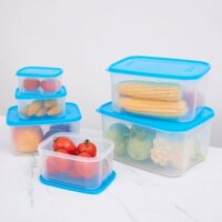 Bộ 6 hộp bảo quản thực phẩm chữ nhật cao (500+800+1500ml+3000ml+5000ml+8000ml) - DK8425