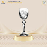 Bộ 6 Ly Rượu Mạnh Liqueur 12137
