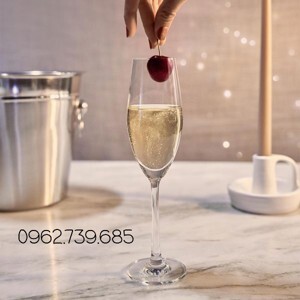 Bộ 6 Ly Sante Champagne 1026F07 - 210ml