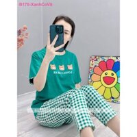 Bộ 9 Tấc Thun Cotton B178 B131 B039 B024 B006 A753 - Đồ Bộ Suli