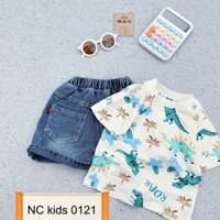 Bộ áo cotton khủng long,quần bò cho bé trai (8-30kg)