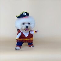 Bộ Áo Cướp Biển Cho Thú Cưng t008