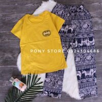 Bộ áo thun quần lanh