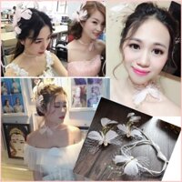 Bộ ba cài tóc lông vũ hạt trai mới 2024 Giangpkc  Trần Thị Hạnh (pkc Giang )
