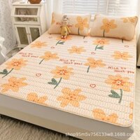 Bộ Ba Tấm Chiếu Cao Su Thái Lan Tấm Chiếu Lụa Băng Dày Mùa Hè Có Thể Gập Lại Tấm Chiếu Mềm Điều Hòa Ký Túc Xá Sinh Viên