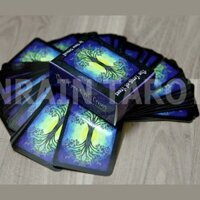 Bộ bài tarot of trees~6,2x8,8 cm-bài Việt Nam chất lượng tốt