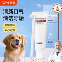 Bộ bàn chải đánh răng và kem đánh răng cho chó mèo, làm sạch răng miệng, dụng cụ vệ sinh đặc biệt