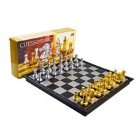 Bộ Bàn Cờ Vua 25cm ( Vàng và Bạc ) 3810-A