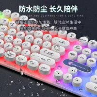 Bộ bàn phím và chuột cơ học cảm giác trò chơi máy tính để bàn ve áo máy tính để bàn