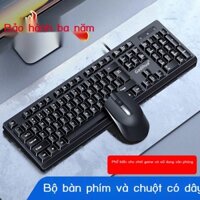 Bộ bàn phím và chuột không dây có văn phòng im lặng hai mảnh máy tính để HP Lenovo Asus phổ thông