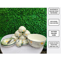 Bộ bát đĩa , chén đĩa đẹp hoa văn hoạ tiết tulips đẹp , sắc nét và sang trọng
