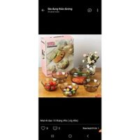 bộ bát thủy tinh 5 món