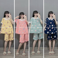 Bộ bầu sau sinh hình cổ sen bèo nhiều màu, chất liệu lanh thái, có khóa kéo 2 bên, quần có chun điều chỉnh tiện lợi