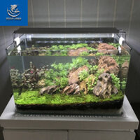 Bộ Bể Cá Kính Đúc 40cm Mini Để Bàn, Dài 40cm Rộng 24cm Cao 25cm - Bể Cá Cảnh Thủy Sinh Mini Siêu rẻ SIÊU RẺ
