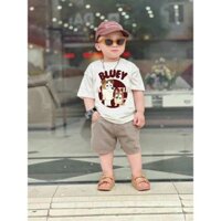 BỘ BÉ TRAI ÁO COTTON KÈM QUẦN KAKI ĐẸP TRAI 8-28KG(BLUEY)