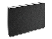 B&O Beosound Level