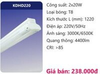BỘ BÓNG ĐÈN TUÝP 1M2 ĐÔI LED 2 BÓNG 20W DUHAL KDHD220
