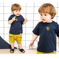 bộ cá sấu c Phạm Thư sz 110
