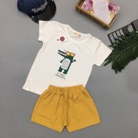 Bộ cá sấu cotton