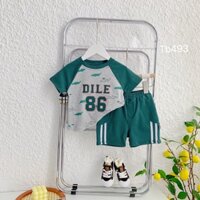 Bộ cá sấu Dile86