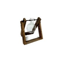 bộ chai thủy tinh trồng cây