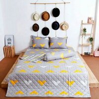 Bộ chăn drap cotton poly