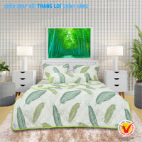 Bộ Chăn Drap Gối Cotton Hoa Thắng Lợi Mẫu 2 - Chính hãng - 1.6m x 2m x 25cm