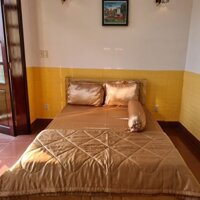 BỘ CHĂN DRAP PHI LỤA CAO CẤP 5 MÓN 1.6Mx2M/1.8Mx2M-PL01