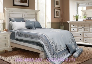 Bộ chăn ga Artemis Print APT20151