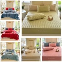 Bộ chăn ga cotton lụa 2024